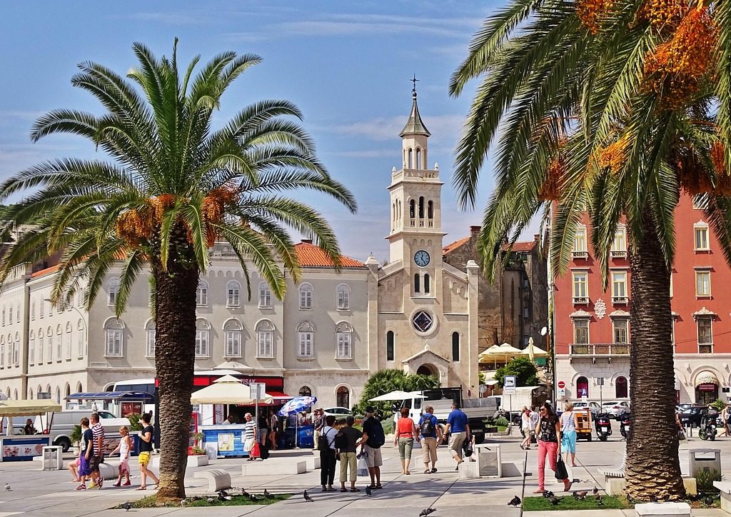 croatia, split, historic center, europe, summer, nature, palm trees
